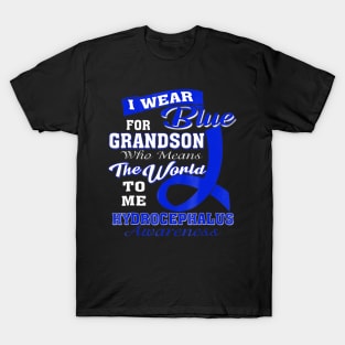 Hydrocephalus Awareness I Wear Blue For Grandson T-Shirt